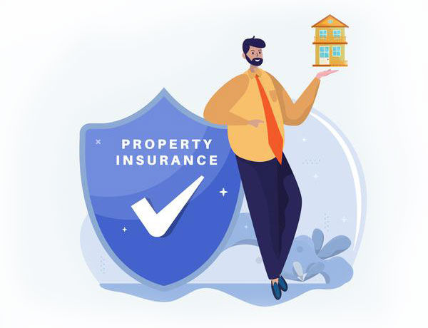 property Insurance